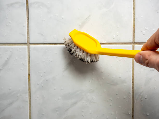 Best Emergency Mold Removal  in Manchester, GA