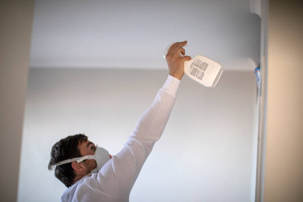 Best Office Mold Removal Services  in Manchester, GA