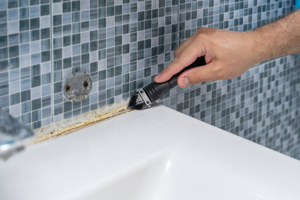 Best Mold Removal Specialists  in Manchester, GA